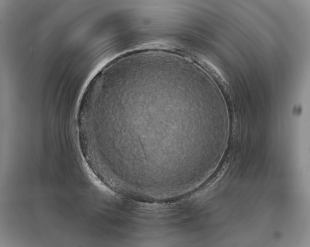 X0000095510800200712141422
