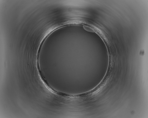 X0000095510802200712141422