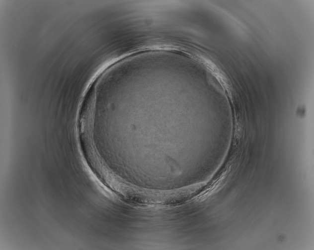 X0000095510803200712141422