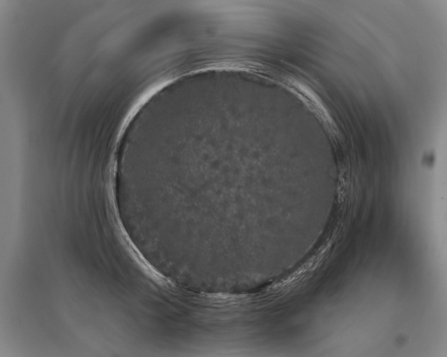 X0000095510804200712141422