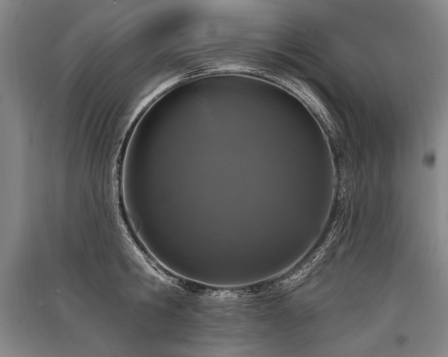 X0000095510806200712141422
