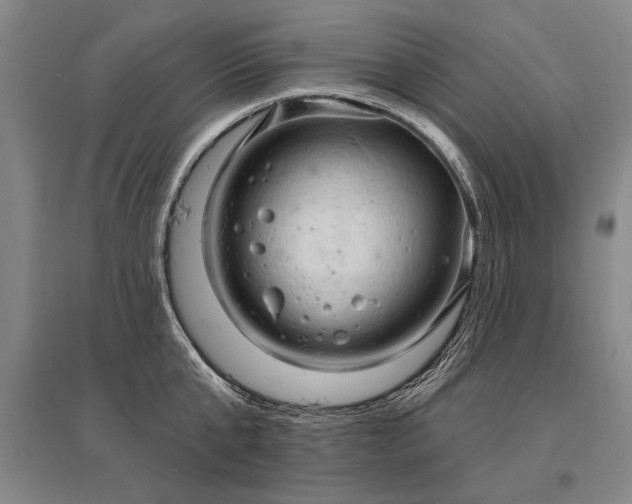 X0000095510807200712141422