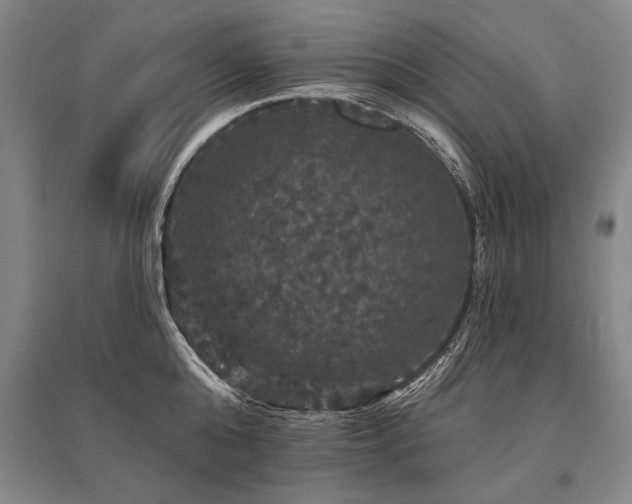 X0000095510808200712141422
