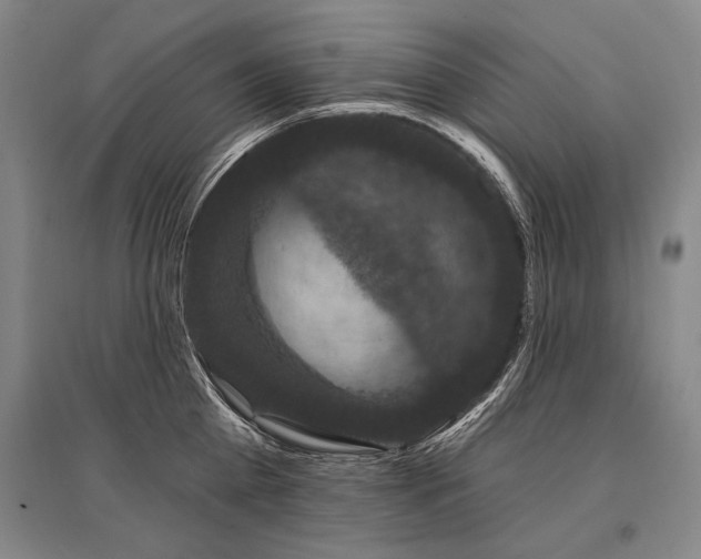 X0000095510809200712141422