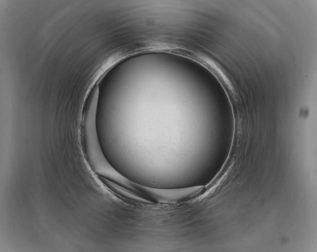 X0000095510810200712141422