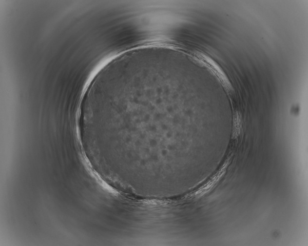 X0000095510812200712141422