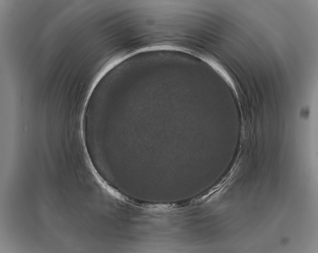 X0000095510813200712141422