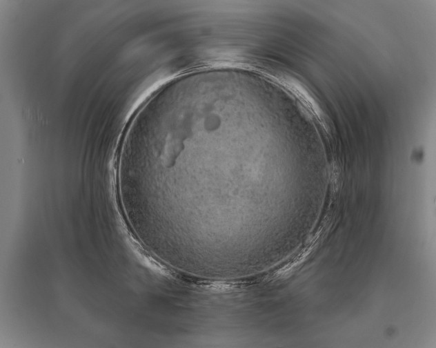 X0000095510814200712141422