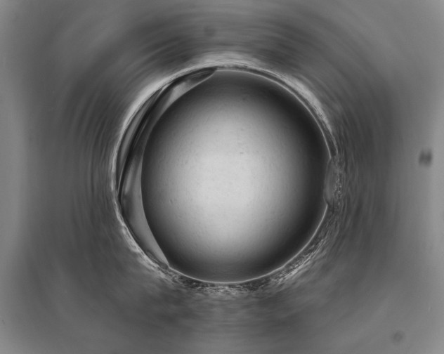 X0000095510815200712141422
