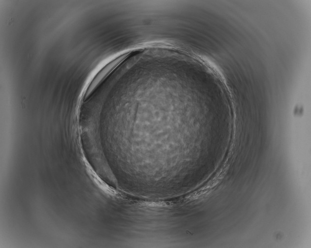 X0000095510816200712141422