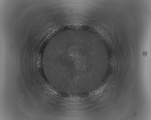 X0000095510818200712141421