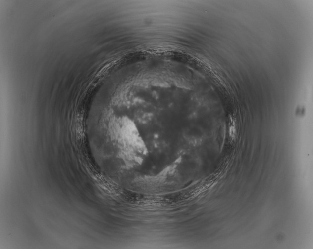 X0000095510819200712141421