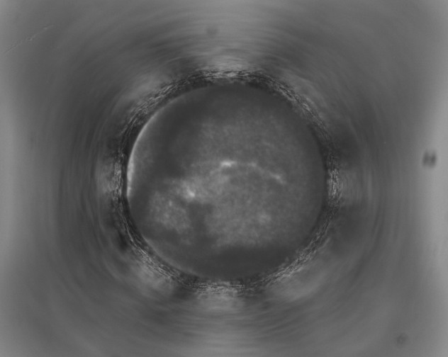 X0000095510820200712141421
