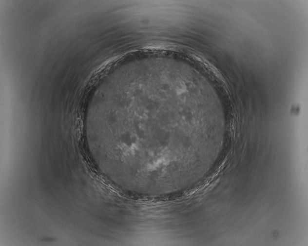 X0000095510821200712141421