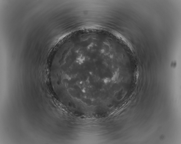 X0000095510822200712141421