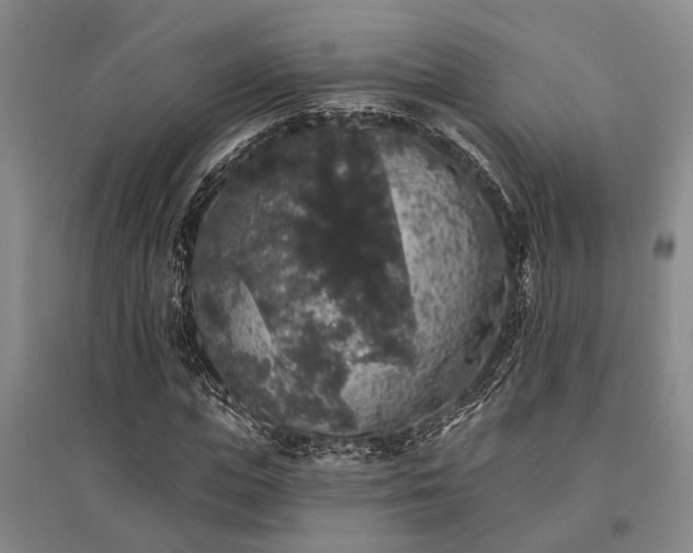 X0000095510823200712141422