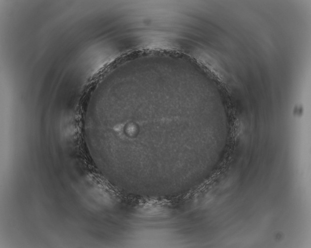 X0000095510824200712141422