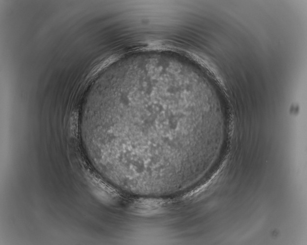 X0000095510825200712141422