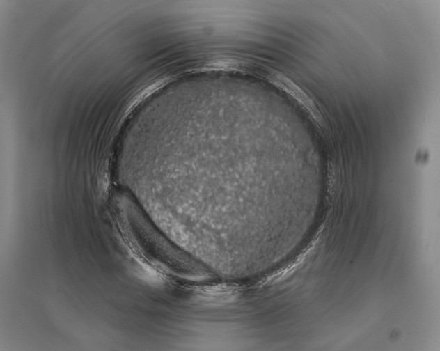 X0000095510826200712141422