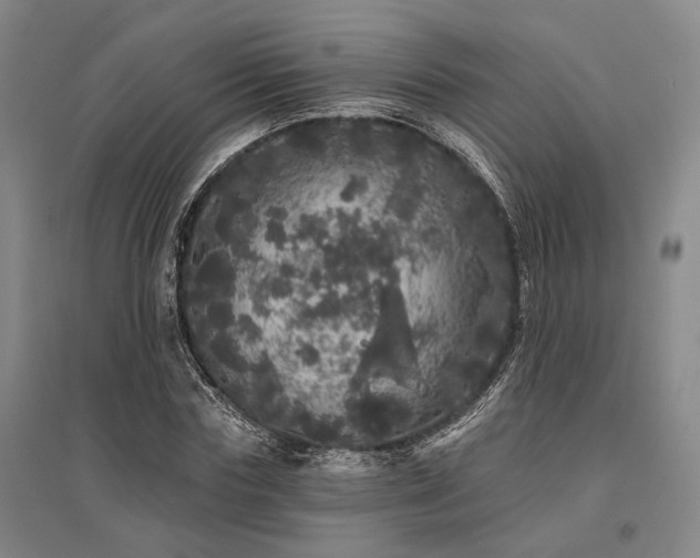X0000095510827200712141422
