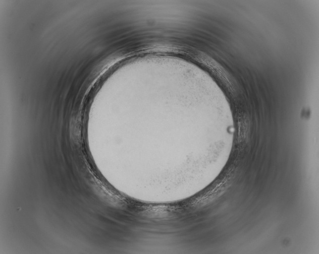 X0000095510828200712141422