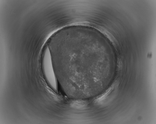 X0000095510830200712141422
