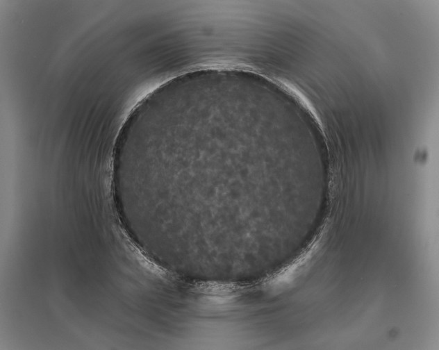 X0000095510831200712141422