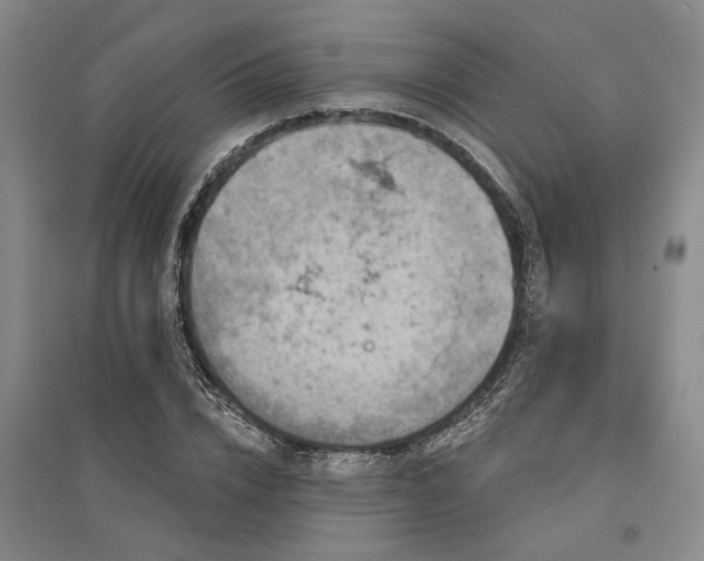 X0000095510832200712141422