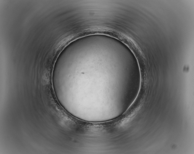 X0000095510833200712141422