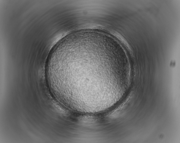 X0000095510834200712141422