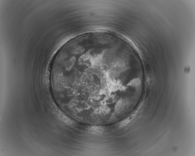 X0000095510835200712141422