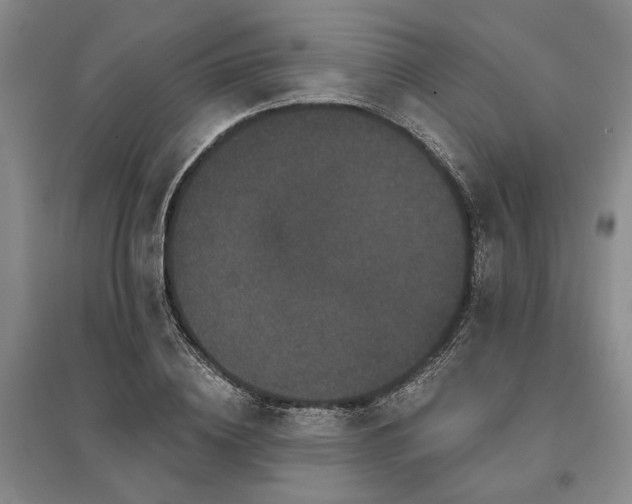 X0000095510836200712141422