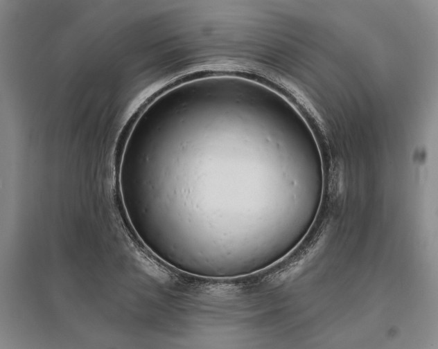 X0000095510837200712141422