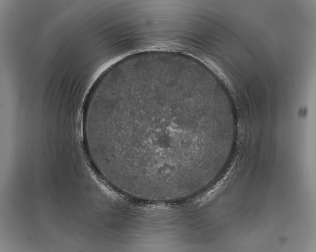 X0000095510838200712141422