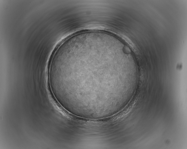 X0000095510840200712141422