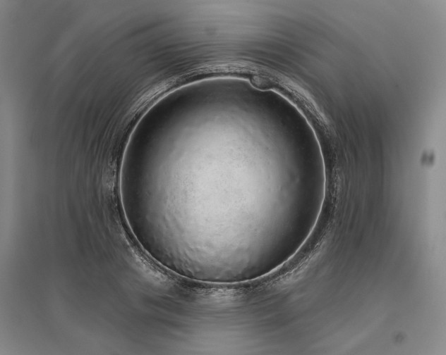 X0000095510841200712141422
