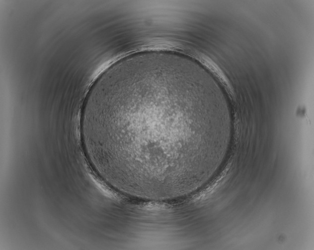 X0000095510842200712141422