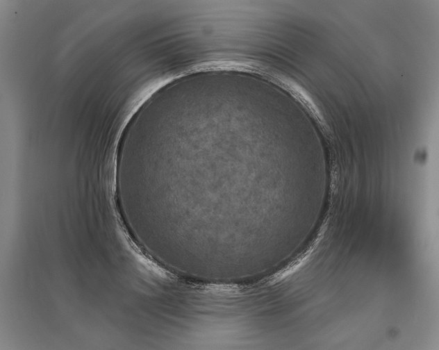 X0000095510844200712141422