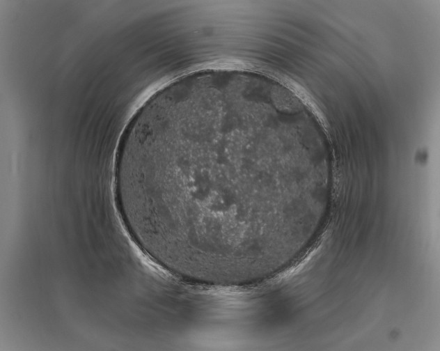 X0000095510845200712141422
