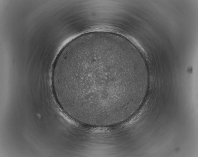 X0000095510846200712141422