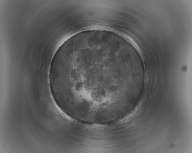 X0000095510847200712141422