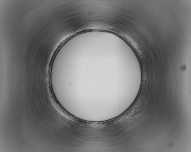 X0000095510848200712141422