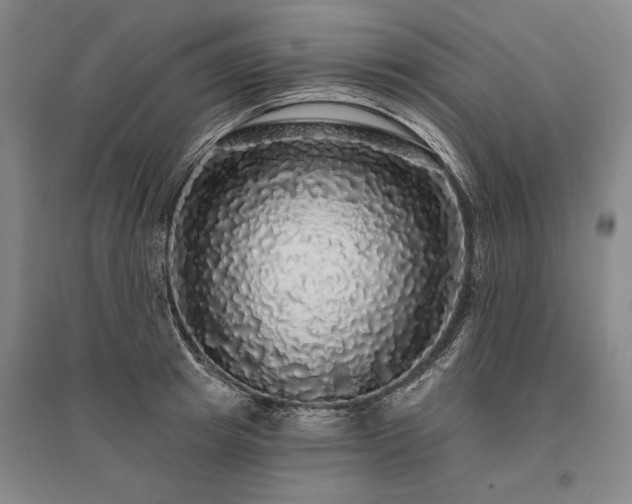 X0000095510849200712141422