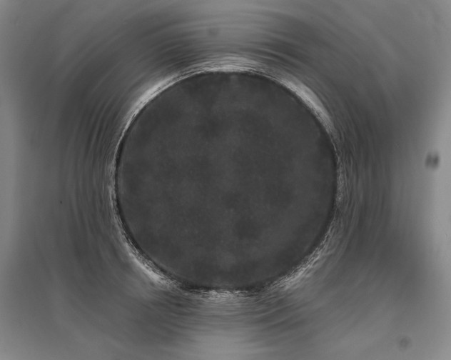 X0000095510850200712141422