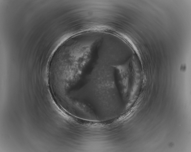 X0000095510851200712141422