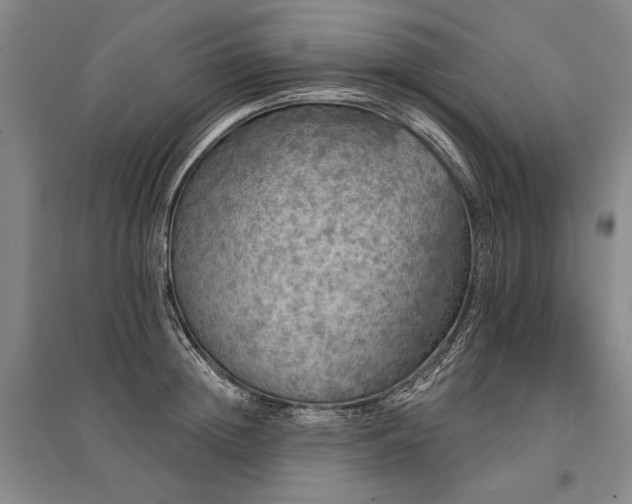 X0000095510852200712141422