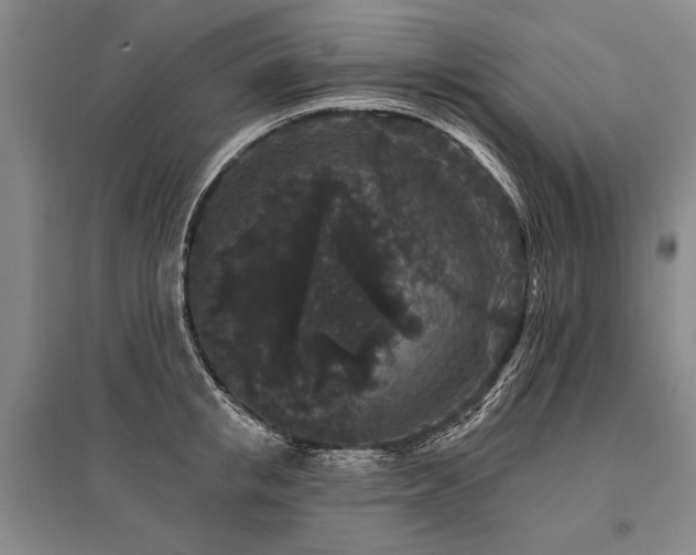 X0000095510853200712141422