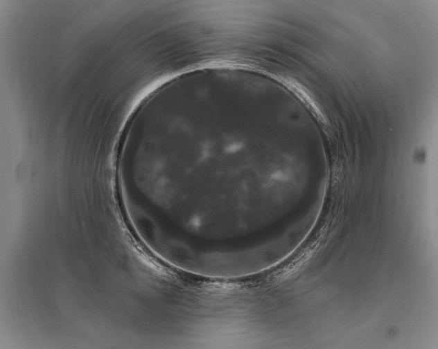 X0000095510854200712141422