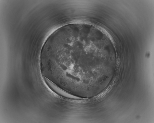 X0000095510855200712141422