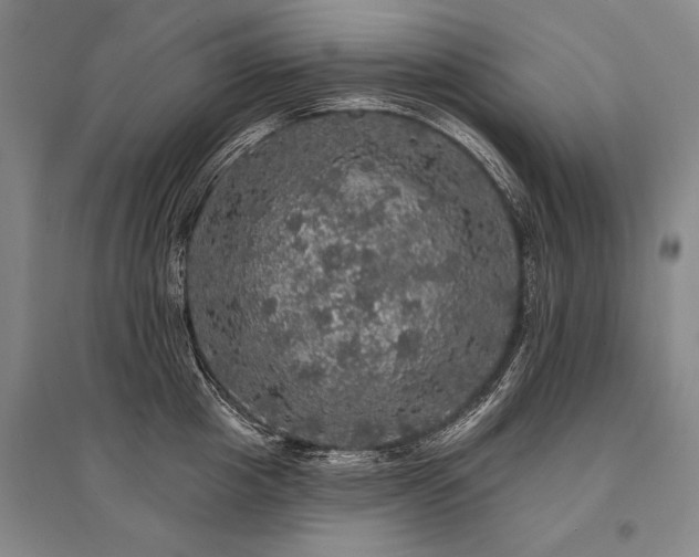 X0000095510857200712141422